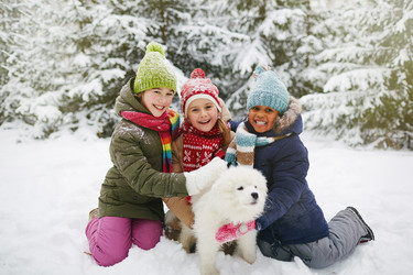 Similar image 10435777