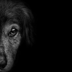 Similar image 10435912