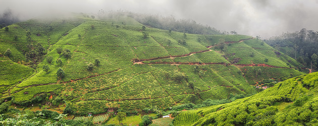 Similar image 10436236