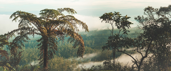 Similar image 10436250