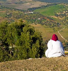 Similar image 10436903