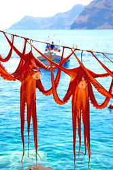 Similar image 10436955