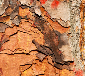 Similar image 10436975