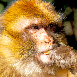 Similar image 10437043