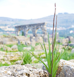 Similar image 10437069