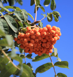 Similar image 10438036