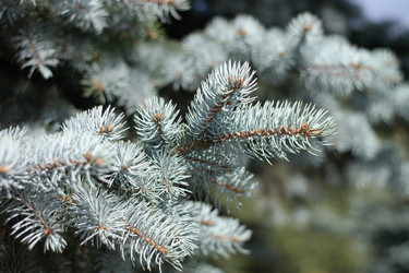 Similar image 10438040