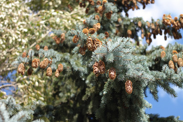 Similar image 10438041