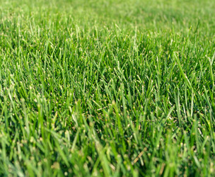 Similar image 10438043