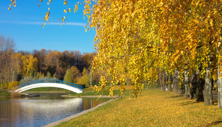 Similar image 10438054