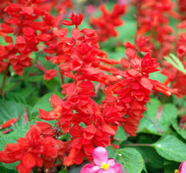 Similar image 10438060