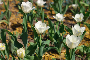 Similar image 10438068