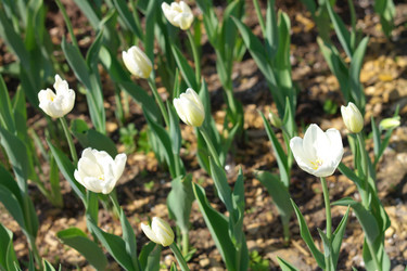 Similar image 10438080