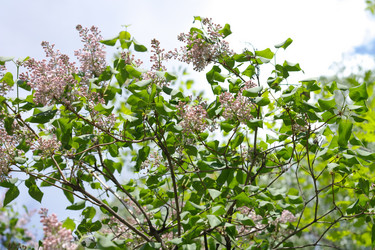 Similar image 10438081