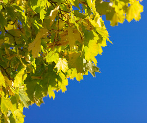 Similar image 10438093