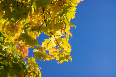 Similar image 10438094