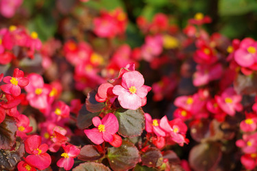 Similar image 10438096