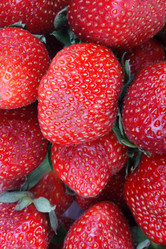 Similar image 10438126