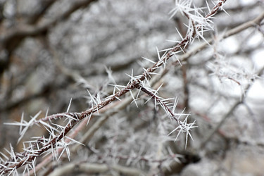 Similar image 10438193