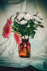 Similar image 10438212