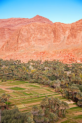 Similar image 10438599