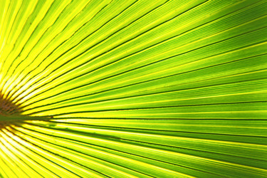 Similar image 10438628