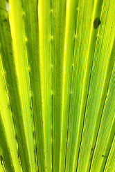 Similar image 10438663