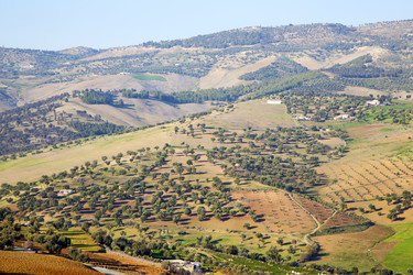 Similar image 10438683