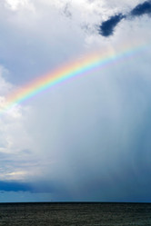 Similar image 10438731