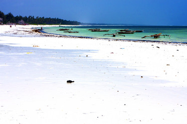 Similar image 10438758