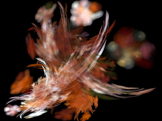 Similar image 10439265