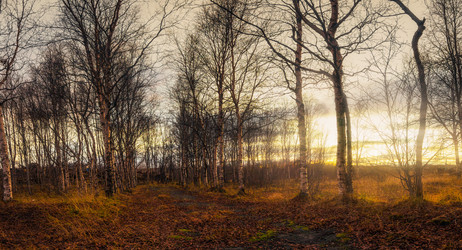 Similar image 10441022