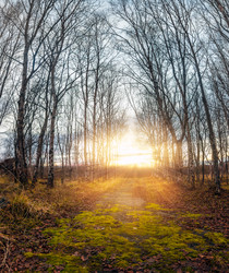 Similar image 10441025