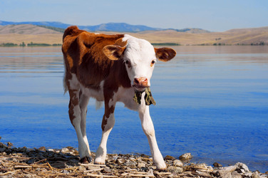 Similar image 10441037