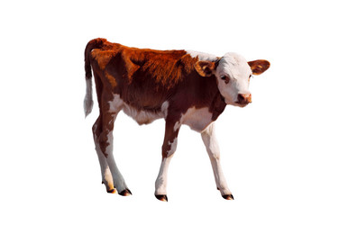 Similar image 10441038