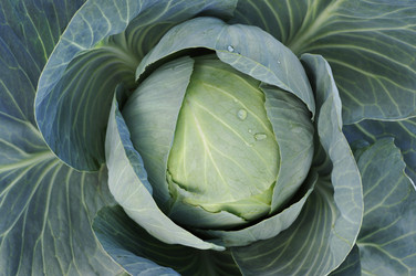 Similar image 10441039