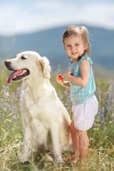 Similar image 10441210