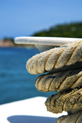 Similar image 10441384