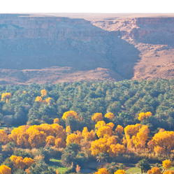 Similar image 10441456