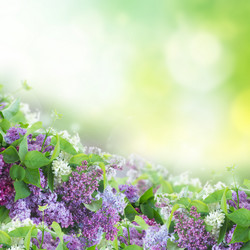 Similar image 10441870