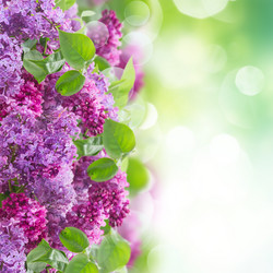 Similar image 10441872