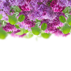 Similar image 10441873