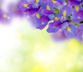 Similar image 10441878