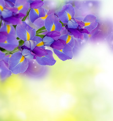 Similar image 10441879