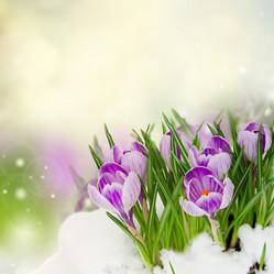 Similar image 10441882