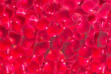 Similar image 10441884