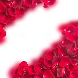 Similar image 10441885