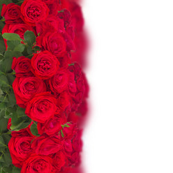 Similar image 10441886