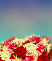 Similar image 10441891