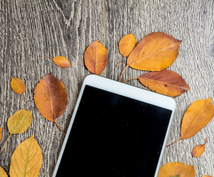 Similar image 10441903